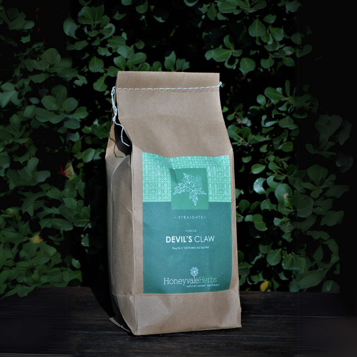 Devil's Claw Powder