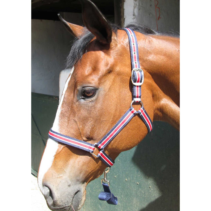 Halter Solo + Lead